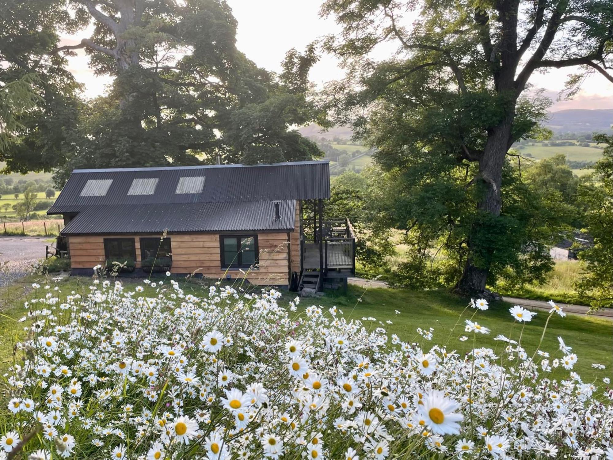 Faraway Follies Βίλα Llandegla Εξωτερικό φωτογραφία
